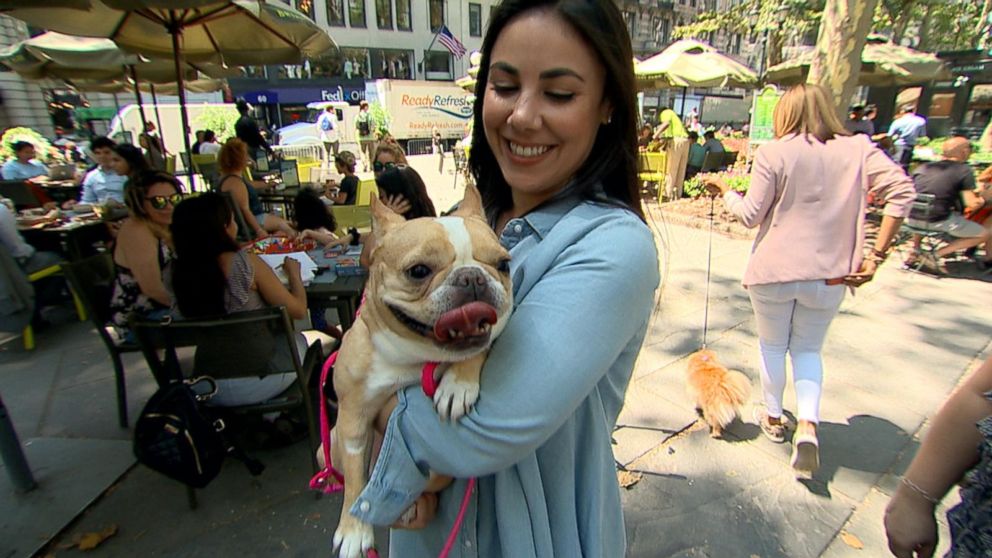 PHOTO: The owners of some of the most influential animal social media stars shared their tips with "Good Morning America" for how to turn your pet into a social media star.