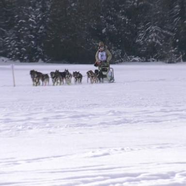 The John Beargrease sled dog marathon was set to have its 40th annual running but the low levels of snow in December made running the race impossible. 