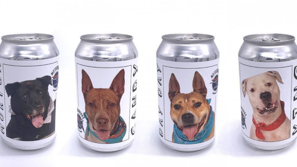 The Motorworks Brewing company of Bradenton, Florida, launched a promotion in Jan. 2020 featuring four-packs decorated with pictures of dogs in local shelters in a bid to raise funds and spur adoptions. 