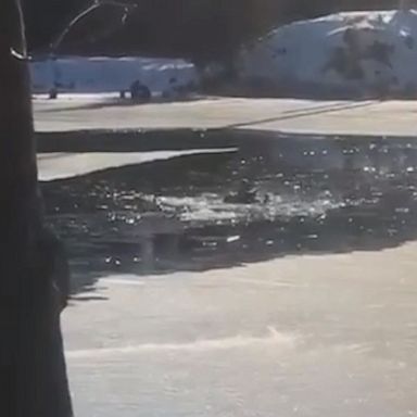 Firefighters battle to save a dog who fell through the ice in a frozen river in Alpena, Michigan.