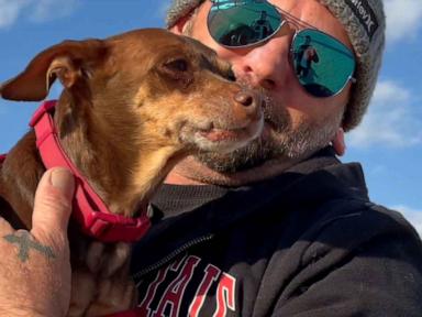 WATCH:  Phoenix man reunited with missing dog after 8 years apart