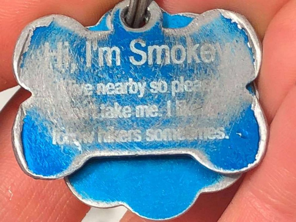 Smokey's dog tag explained why he was on the trail.