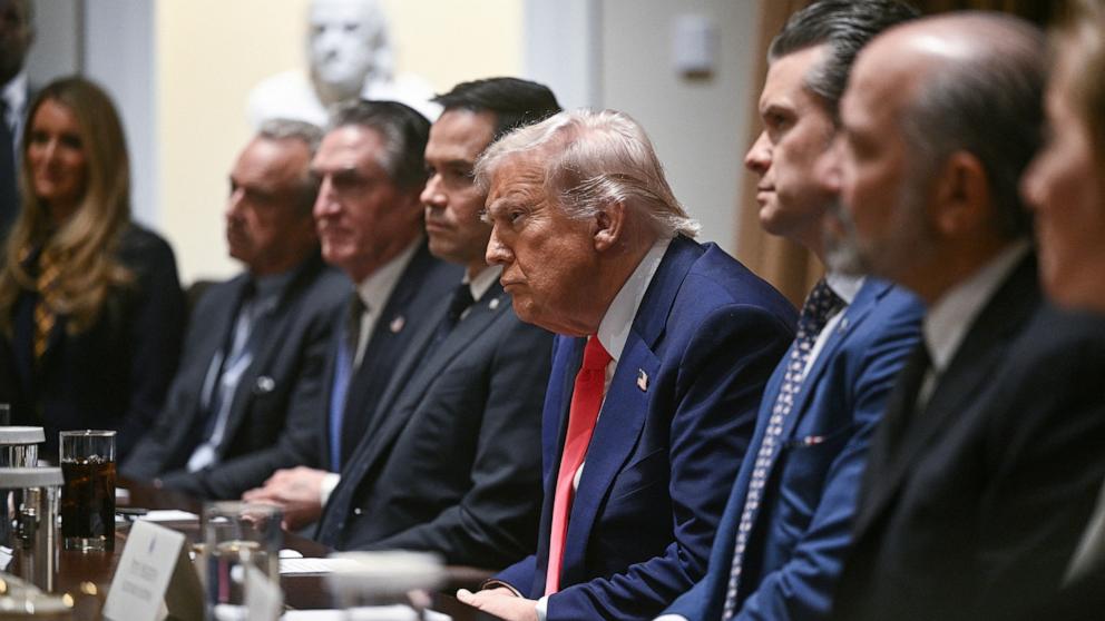 PHOTO: President Donald Trump attends a cabinet meeting at the White House in Washington, April 10, 2025.