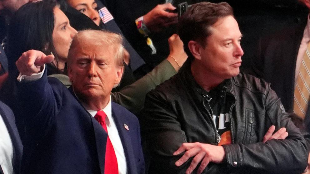 PHOTO: President-elect Donald Trump, Tesla and SpaceX CEO Elon Musk and Donald Trump Jr. watch a fight during UFC 309 at Madison Square Garden in New York, Nov. 16, 2024.