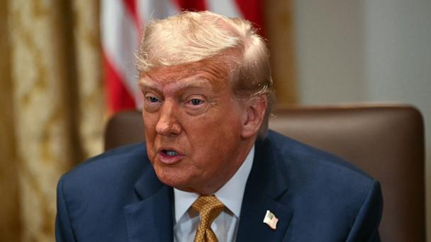 President Donald Trump speaks during a cabinet meeting in the Cabinet Room of the White House in Washington, July 8, 2025. 