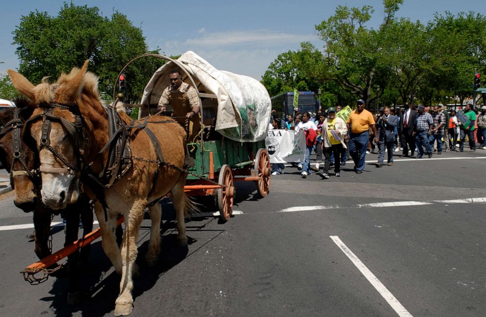 PHOTO: Baskerville, Va., farmer and National Black Farmers Association president John Boyd leads demonstrators in his carriage to find their Congressional representatives at the Capitol.