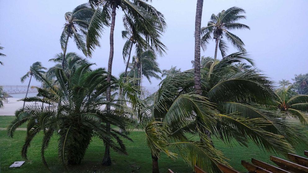 PHOTO: Palm trees blow in the wind during the arrival of Hurricane Dorian in Marsh Harbour, the Great Abaco Island, Bahamas, Sept. 1, 2019. 