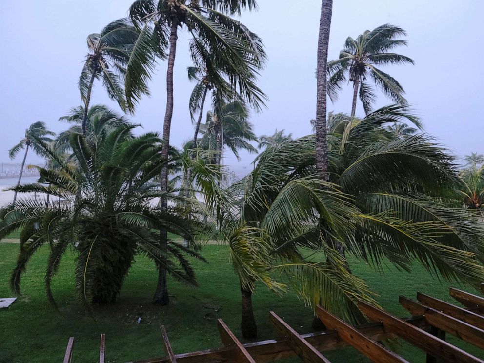 PHOTO: Palm trees blow in the wind during the arrival of Hurricane Dorian in Marsh Harbour, the Great Abaco Island, Bahamas, Sept. 1, 2019.