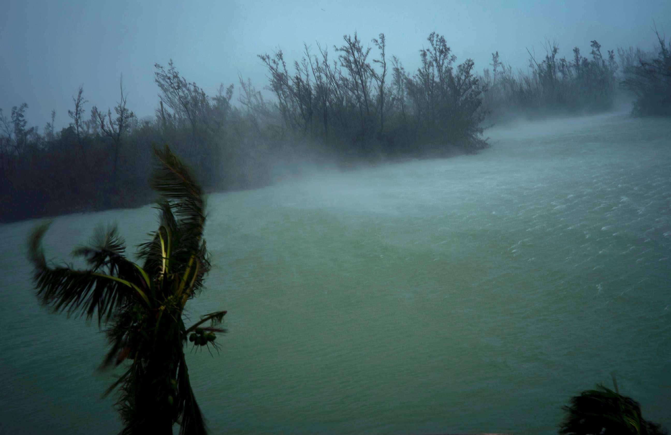 PHOTO: Strong winds from Hurricane Dorian blow the tops of trees and brush while whisking up water from the surface of a canal that leads to the sea, seen from the balcony of a hotel in Freeport, Grand Bahama, Bahamas, Sept. 2, 2019.