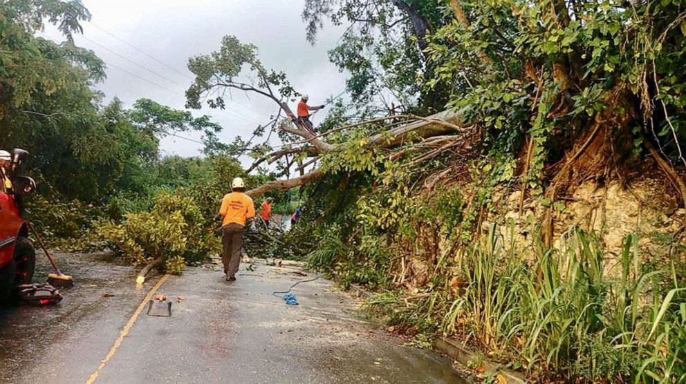 PHOTO: Volunteer members of the Roving Response Team remove a tree blocking a road after Tropical Storm Dorian passed overnight in Brighton St. George, Barbados Aug. 27, 2019.