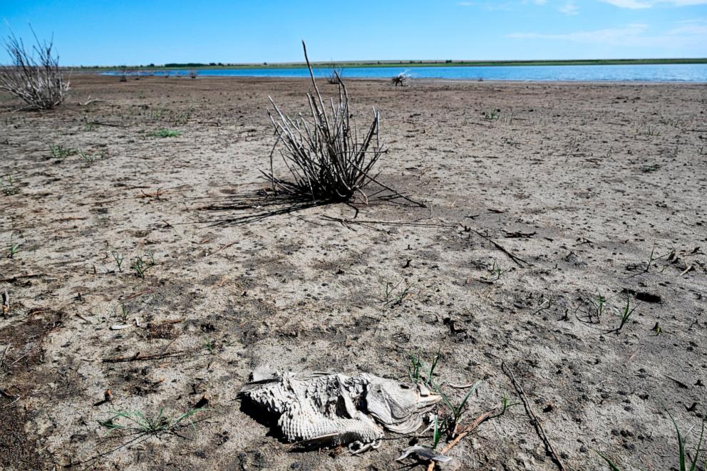 PHOTO: Colorado Parks and Wildlife ordered an emergency public fish salvage for Queens Reservoir in Kiowa County due to declining water levels related to drought conditions, July 21, 2022, in Eads, Colo.