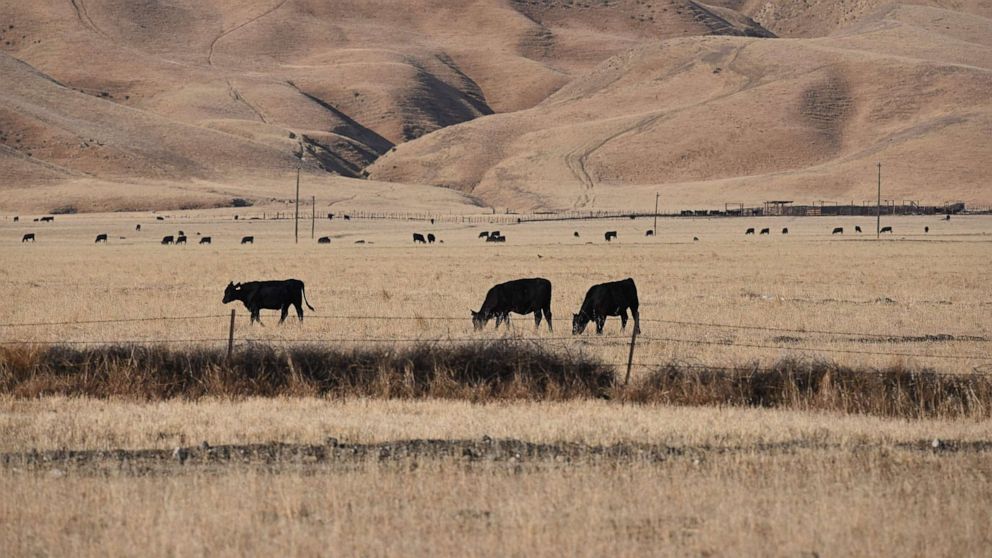 Extreme weather across US puts 150 million Americans at risk this week