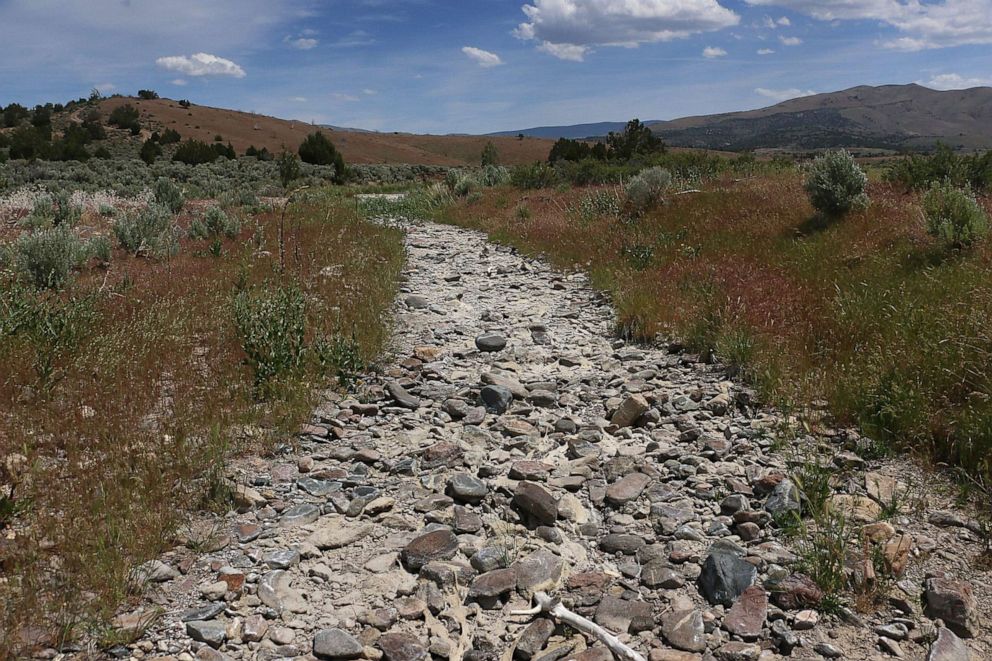 PHOTO: Dry Valley Creek sits without water near the Petersen Mountains north of Reno, Nev., May 26, 2022.

Ren Drought Wildlife 02