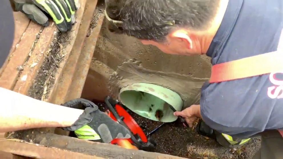 PHOTO: Firefighters used duck calls on YouTube to lure out ducklings from a storm drain pipe. 