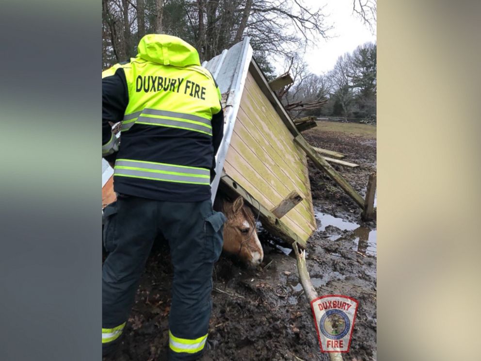 PHOTO: Emergency workers in Duxbury, Massachusetts, work to rescue a horse under a structure that collapsed during storm.