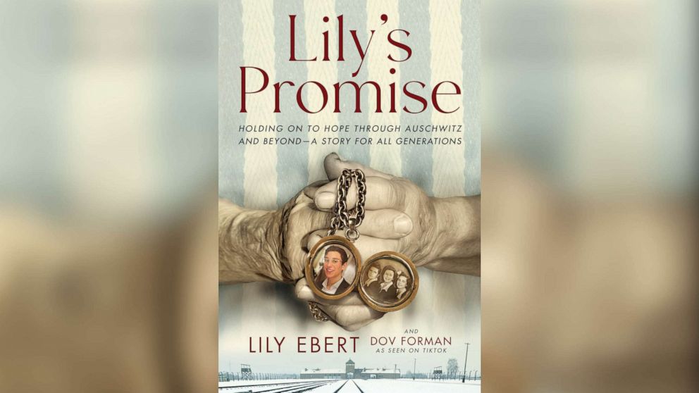PHOTO: The cover art for "Lily's Promise" is displayed in a handout image.