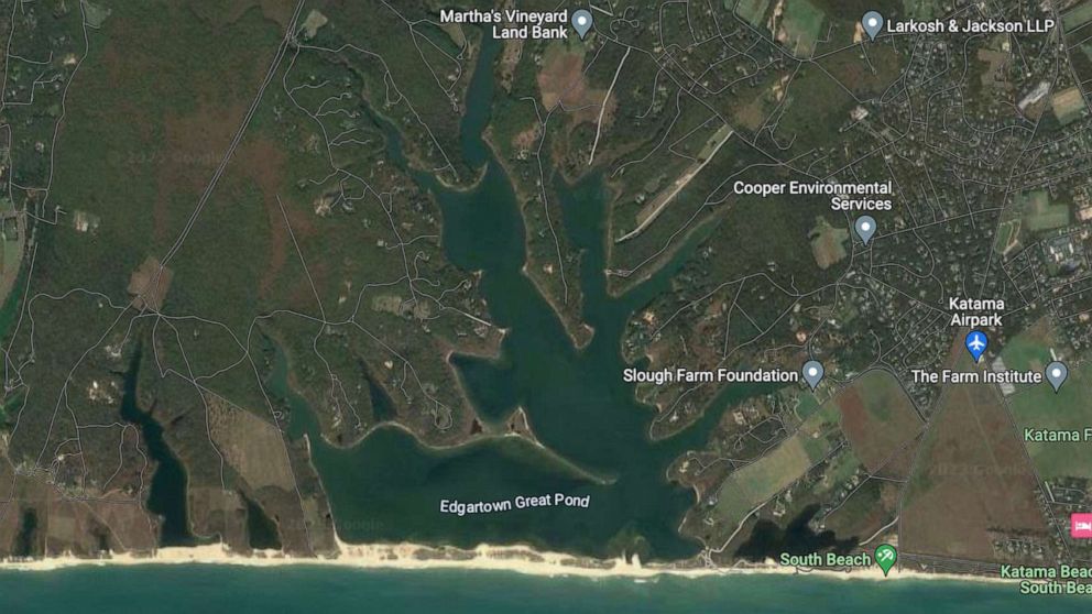 PHOTO: Edgartown Great Pond in Martha's Vineyard is pictured in this google satellite image.