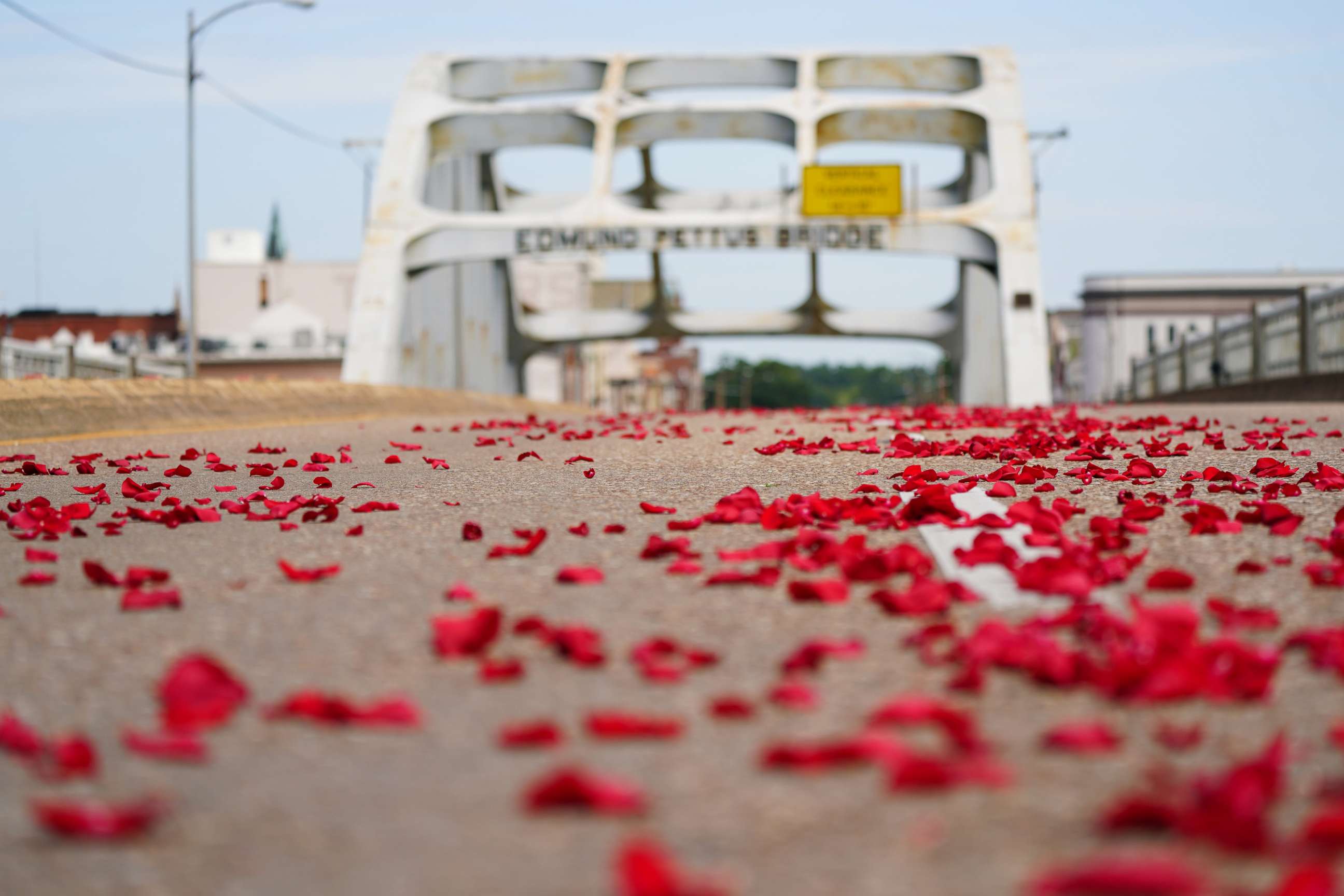 PHOTO: Rose petals representing the blood spilled on Bloody Sunday are seen on the Edmund Pettus Bridge in Selma, Alabama, July 26, 2020.