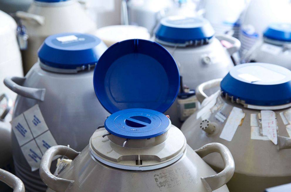 PHOTO: Cryogenic storage containers for eggs to be used for invitro fertilization are pictured in this undated stock photo.