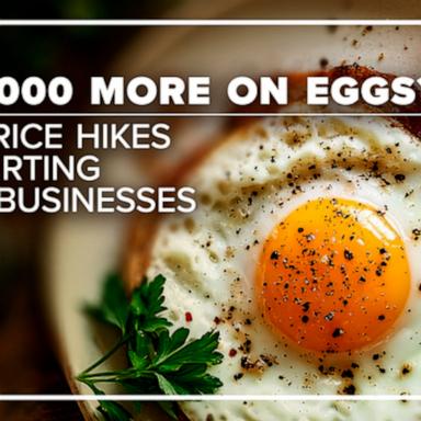 As egg prices continue to skyrocket, small businesses grapple with how to avoid passing on the increase to their customers.