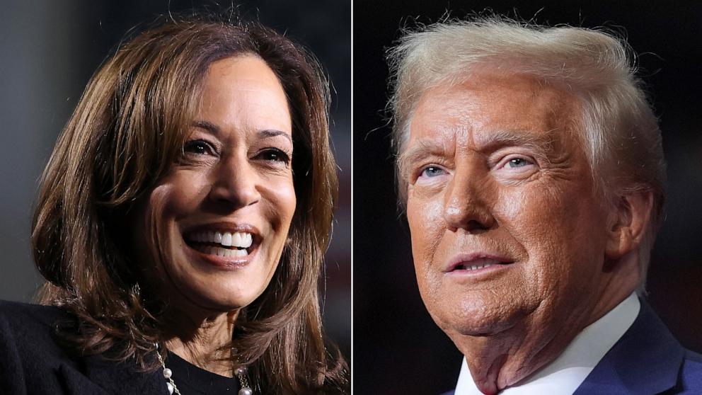 PHOTO: Democratic presidential nominee, U.S. Vice President Kamala Harris and Republican presidential nominee former President Donald Trump campaign, Nov. 4, 2024.