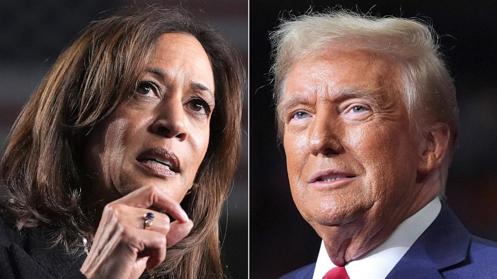 PHOTO: Democratic presidential nominee, U.S. Vice President Kamala Harris and Republican presidential nominee former President Donald Trump campaign, Nov. 4, 2024.