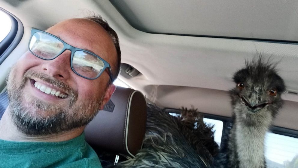 PHOTO: Harry McKinney took a selfie with his emu after it led police on a slow-speed chase on April 12, 2023, in Harriman, Tenn.