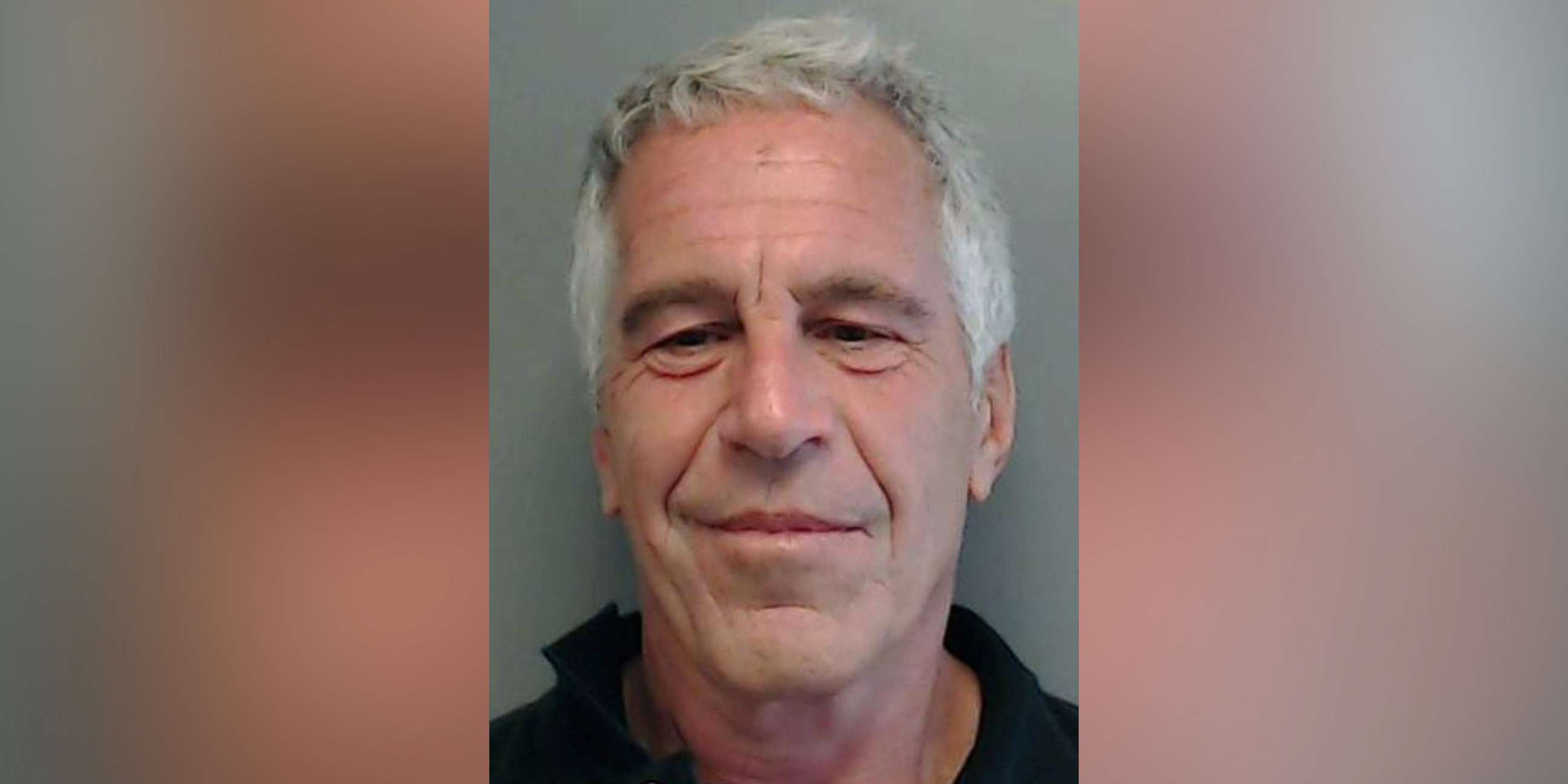 PHOTO: Jeffrey Epstein is pictured in a 2013 photo released by the Florida Department of Law Enforcement.