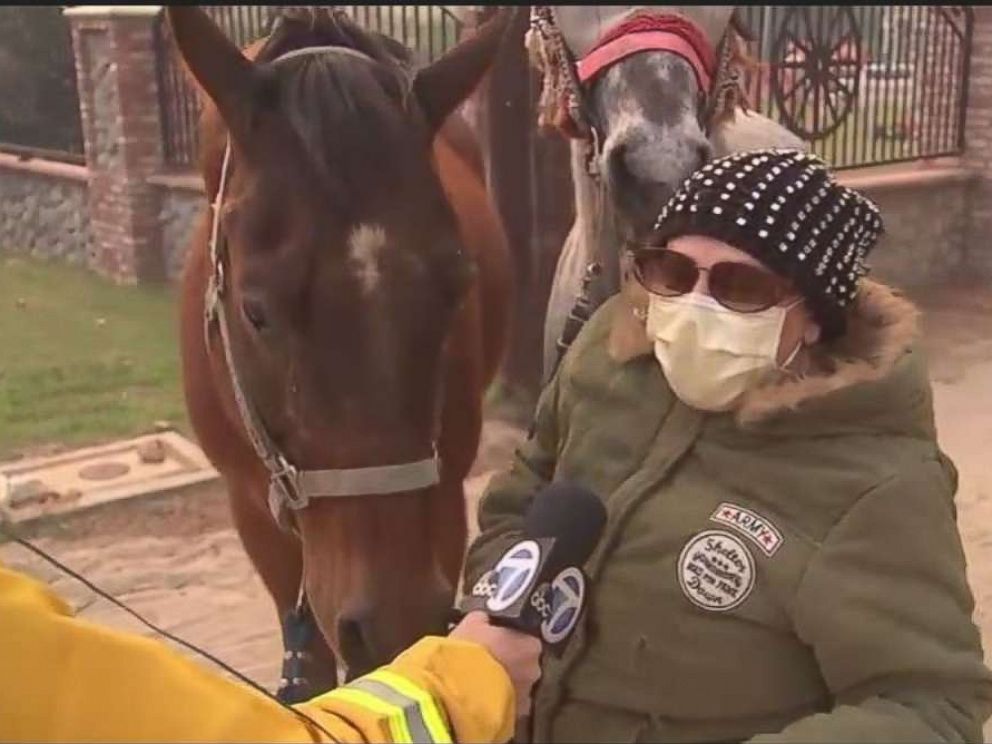 PHOTO: Horses are evacuated from a ranch in Shadow Hills, Calif. as the Creek Fire intensifies on Dec. 5, 2017.