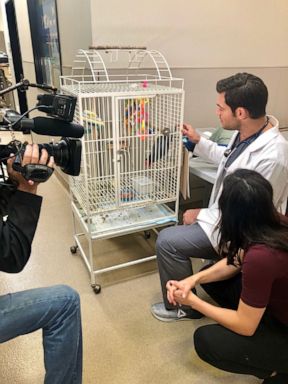 PHOTO: Dr. Evan Antin spoke with Nightline about his show Evan Goes Wild.