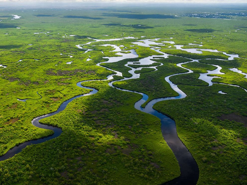 PHOTO: Waterways wind through the Everglades National Park in Florida, in an undated stock photo.