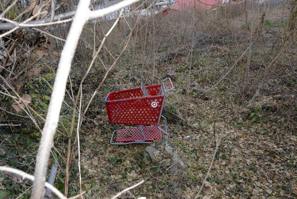 PHOTO: Police said this shopping cart was found near human remains in Fairfax County on Dec. 15, 2021.