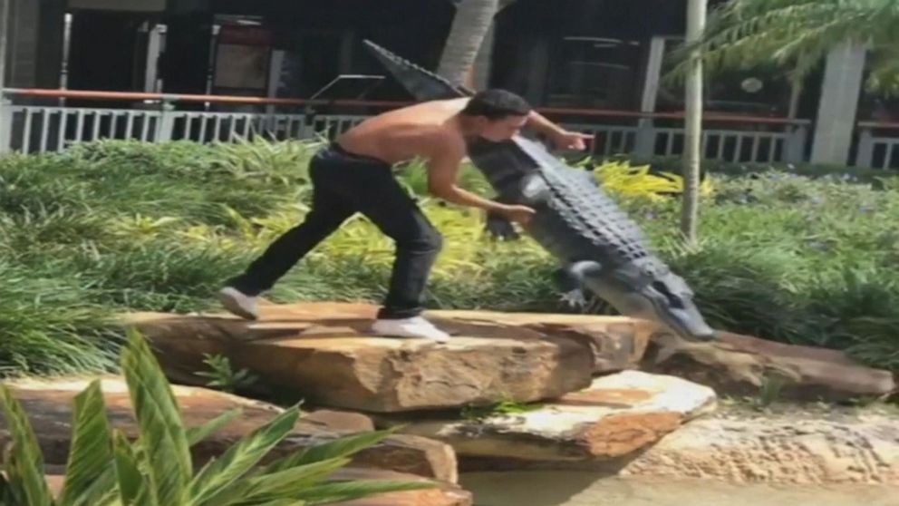 Florida teenager arrested after being filmed wrestling fake alligator ...