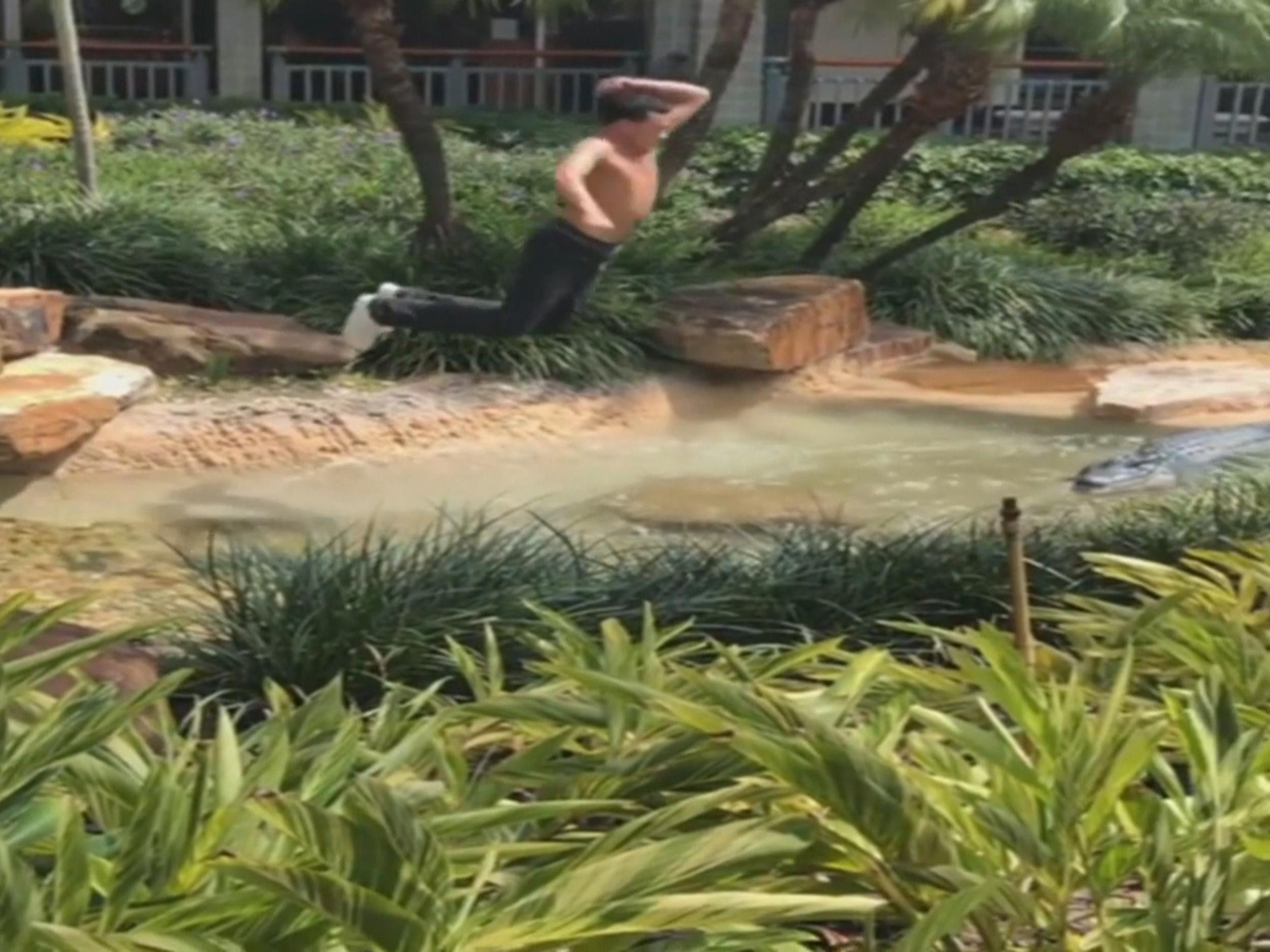 Florida teenager arrested after being filmed wrestling fake alligator ...