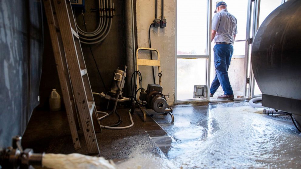 PHOTO: Ricky Jones, operations manager at Magic Valley Quality Milk Transport, walks out the door as 4,100 gallons of milk pour down the drain Wednesday, April 8, 2020, at the Azevedo Family Dairy in Buhl, Idaho.