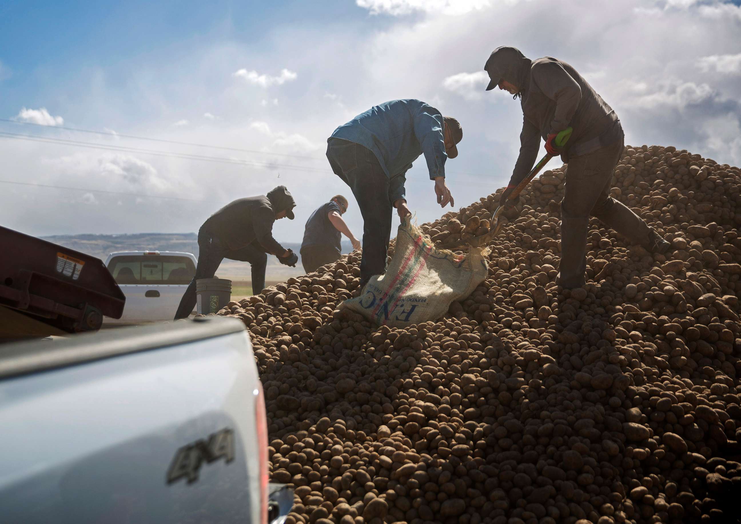 PHOTO: People collect buckets and truckloads of potatoes Wednesday, April 15, 2020, at Ryan Cranney's farm in Oakley, Idaho.