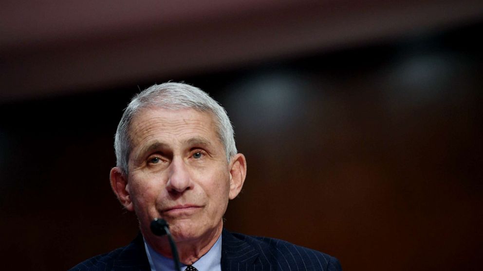 President Donald Trump claims he gets along with Fauci amid White House efforts to discredit the doctor.