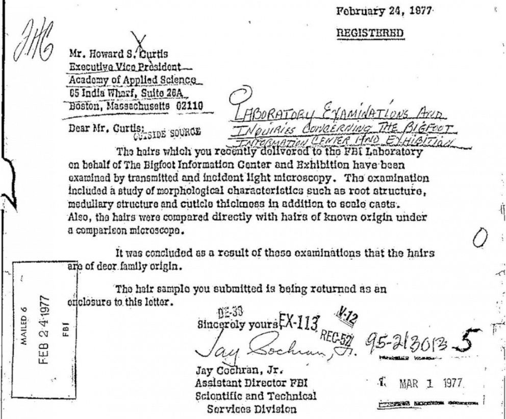 PHOTO: A 1977 letter released by the FBI on June 5, 2019, reports that a hair and tissue sample submitted to the FBI Laboratory for testing belonged to a deer.