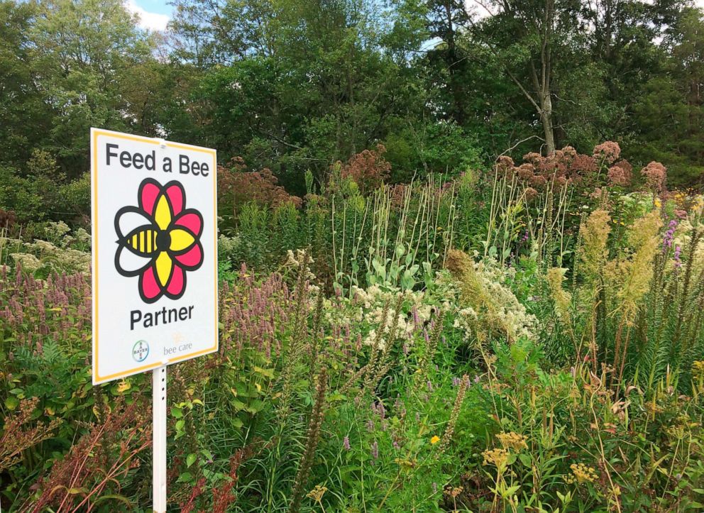 PHOTO: A sign marks a flower garden specifically grown to support bees and other pollinators in Massapequa, Long Island, N.Y., Aug. 25, 2017.