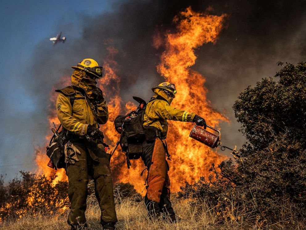PHOTO: Firefighters with the Marin County Fire Department burn brush ahead of the Kincade Fire in an effort to reduce fuel and increase containment, in the Geysers, a geothermal field in California on Friday, Oct. 25, 2019.