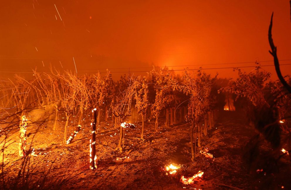 PHOTO: Grape vines burn at Chateau Boswell Winery as the Glass Fire moves through the area of St. Helena, Calif., Sept. 27, 2020.