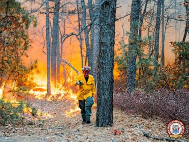 14-year-old boy arrested for allegedly starting forest fire