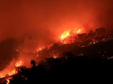 Wind-whipped California brush fire out of control and spreading 'dangerously fast'