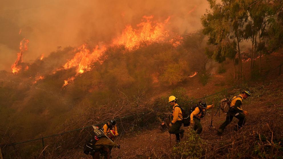 PHOTO: Fire Crews battle the Palisades Fire in Mandeville Canyon, on Jan. 11, 2025, in Los Angeles.