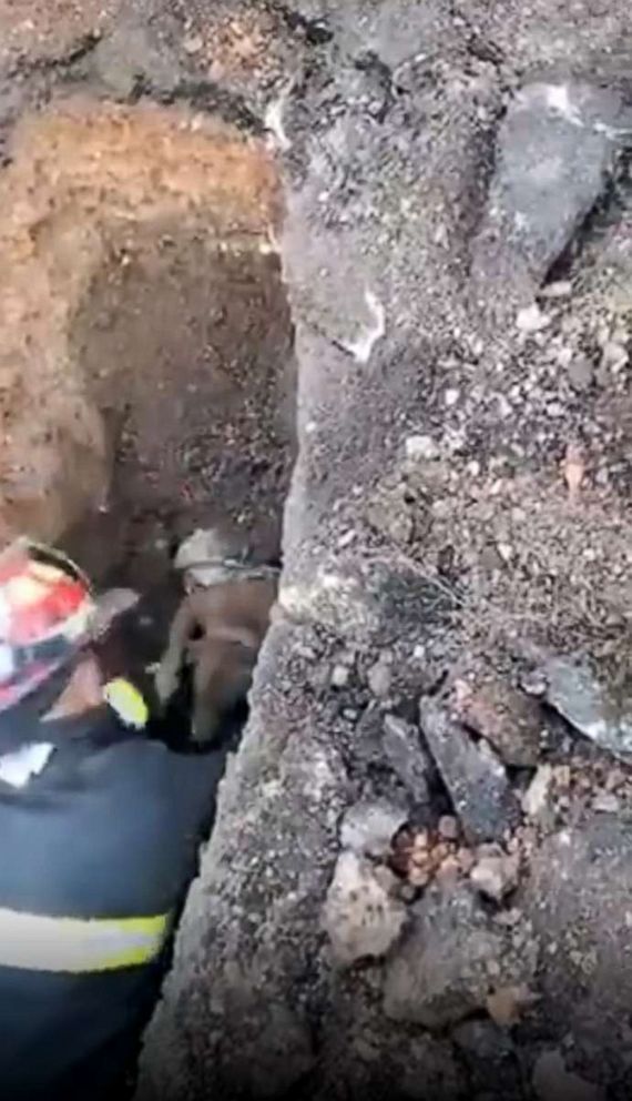 PHOTO: Firefighters rescued a dog trapped in a drainage culvert in Bella Vista, Arkansas, on Tuesday, Nov. 22.