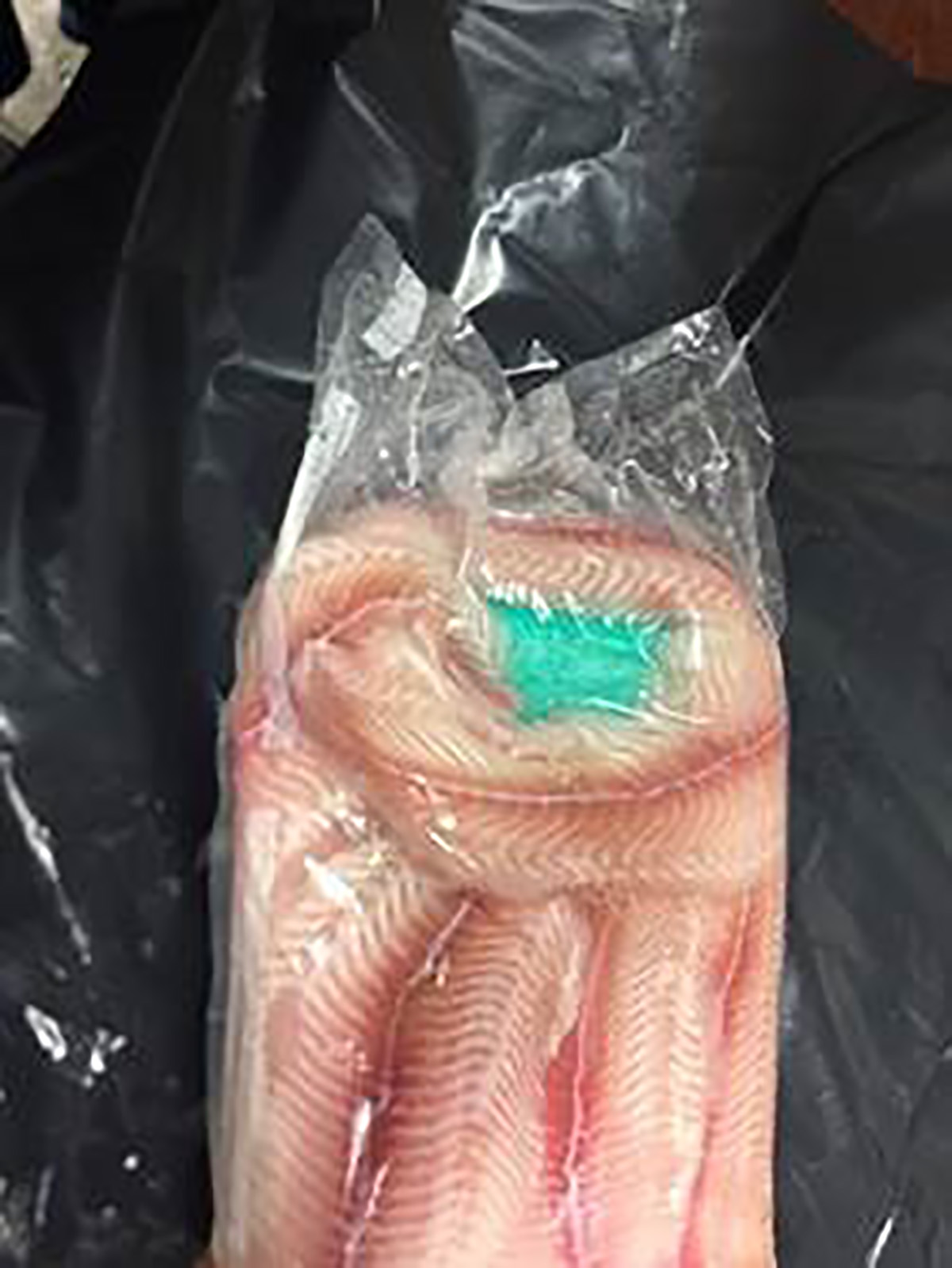 PHOTO: An estimated $10 million dollars worth of fentanyl wrapped in fish was confiscated in New York City, according to the Office of Special Narcotics Prosecutor for the City of New York (SNPNYC).