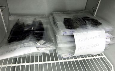 PHOTO: Packs of sterilized tilapia fish skin are displayed at Medicine Development Centre at the Federal University of Ceara in the northeastern coastal city of Fortaleza, Brazil, April 18, 2017.