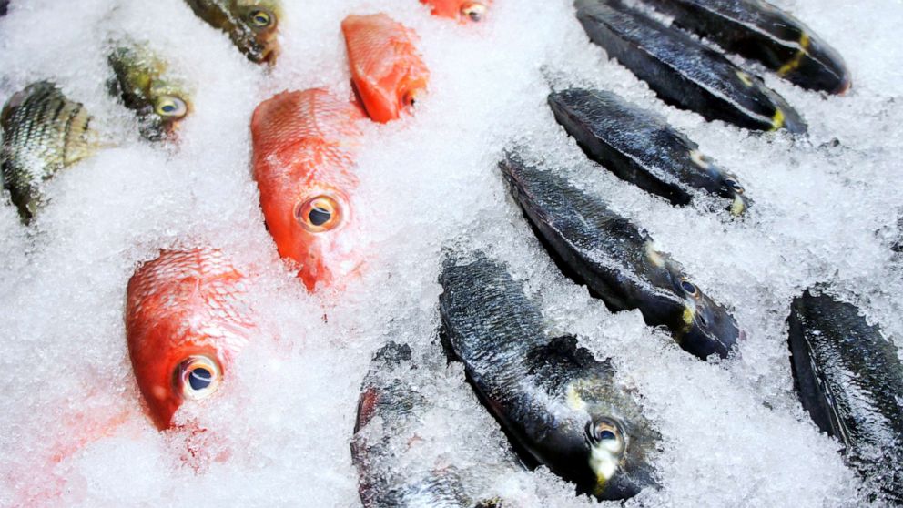 PHOTO: Stock photo of fish on ice.
