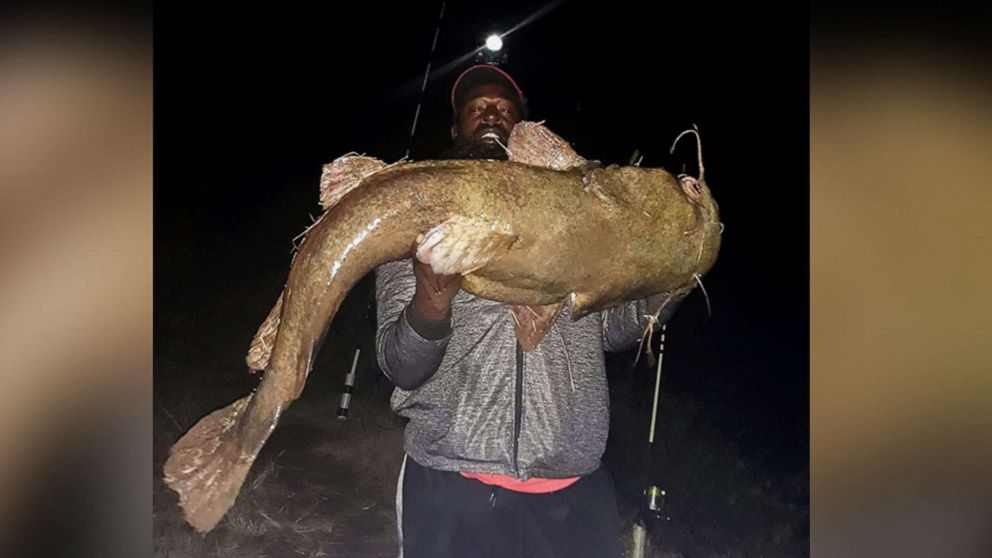 Fisherman named George Washington reels in 60-pound catfish - ABC News