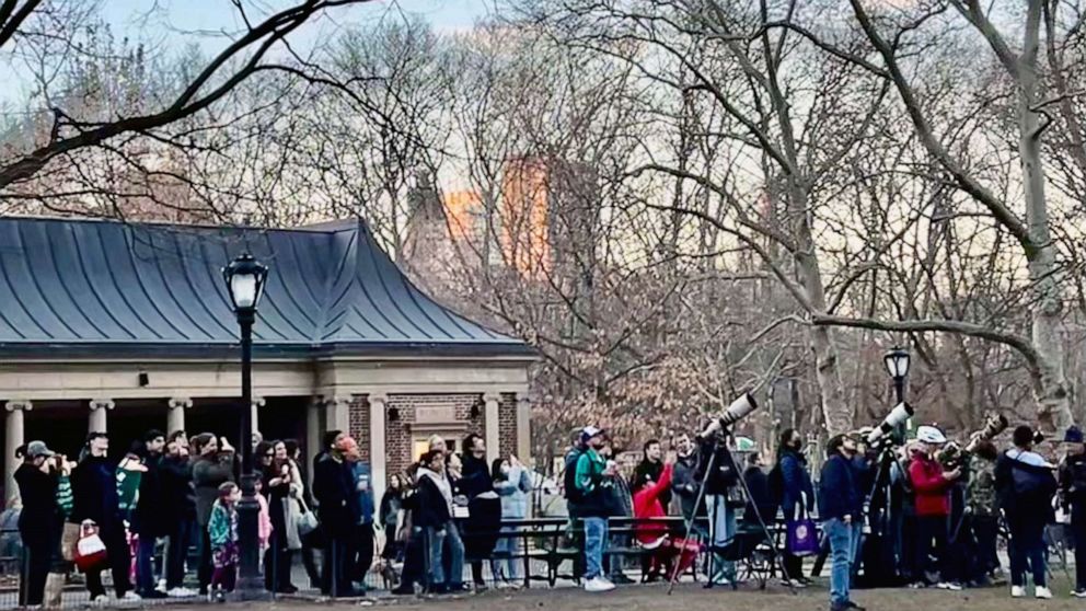 PHOTO: Large crowd of birdwatchers flock to Central Park on Feb. 10, 2023, to catch a glimpse of Flaco, the Eurasian eagle owl who escaped from its vandalized enclosure at the Central Park Zoo.